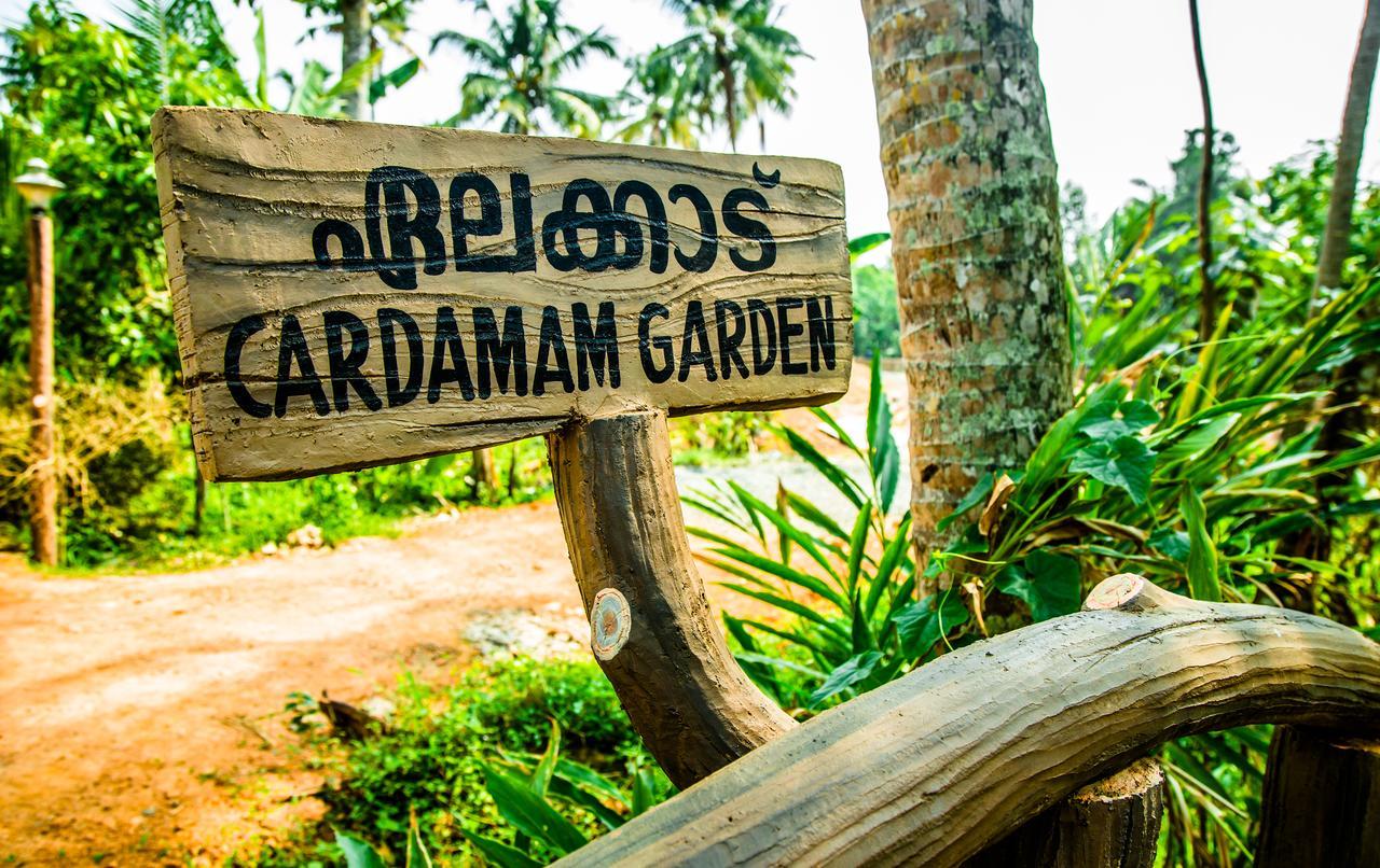 Hotel Mango Meadows Kottayam Esterno foto