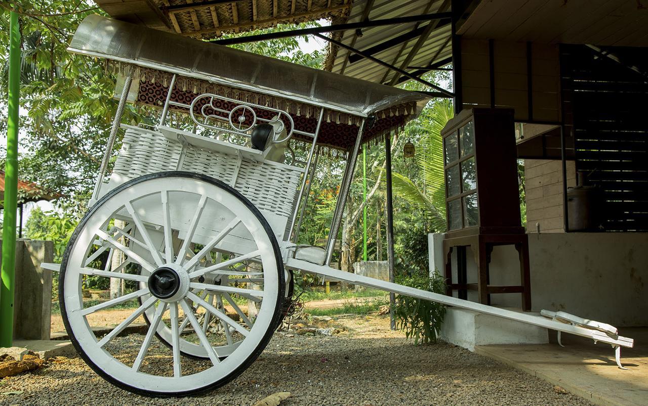 Hotel Mango Meadows Kottayam Esterno foto