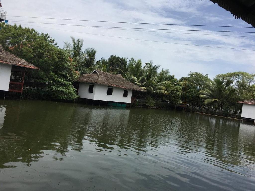 Hotel Mango Meadows Kottayam Esterno foto